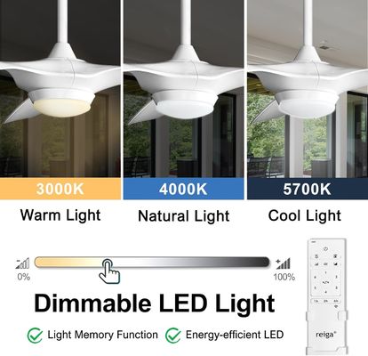 6 Geschwindigkeit 52 Zoll Deckenventilator mit Fernsteuerung