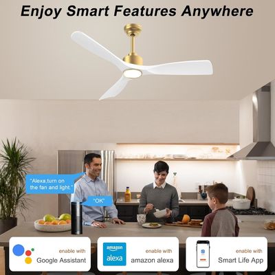 52 Deckenventilator mit dimmbarem Licht ABS Warm Weiß Natürliches Weiß Kühl Weiß