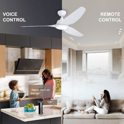 56 Zoll leise Deckenventilator mit Gleichstrommotor und Beleuchtung