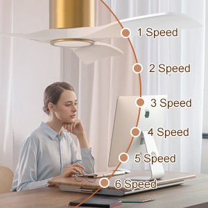 3000K Schwarzer 52-Zoll-Deckenventilator mit leicht effizientem umkehrbarem Gleichstrommotor