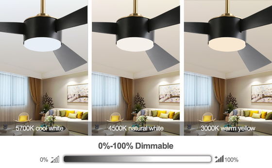 Intelligente Energieeinsparung 52 Zoll Deckenventilator Beleuchtung in Schwarz